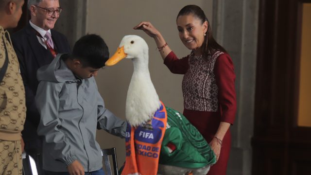 Meet Merlin: The Quirky Duck Leading the Charge for FIFA 2026