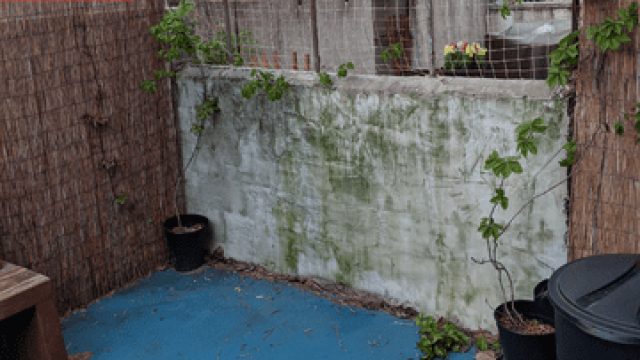 Transforming Outdoor Spaces: The Power of DIY Solutions