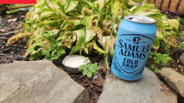 Innovative Gardening Hacks: How Beer Can Transform Your Plant Care