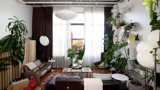 Transform Your Space with the Innovative FADO Lamp: A DIY Sensation