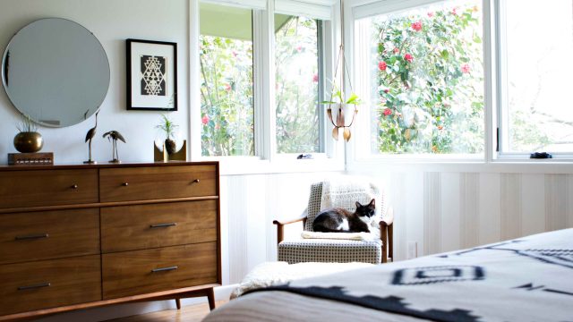 Transforming Pet Care: The Innovative Self-Cleaning Litter Box Revolution
