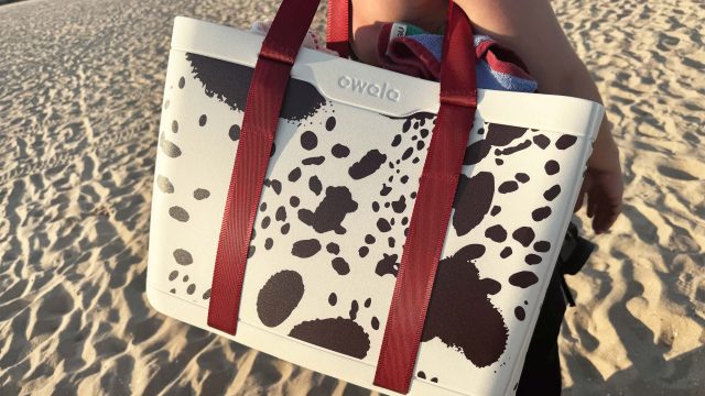 Revolutionize Your Beach Day with This Versatile Tote