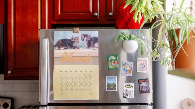 Innovative Freezer Organization: Using Dish Racks for Smart Storage