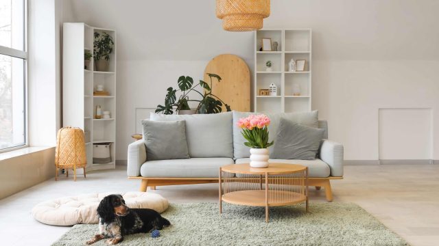 Unlock Early Labor Day Savings: Exclusive Deals You Can't Miss
