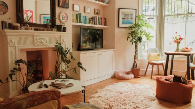 Massive Discounts on Area Rugs: Prepare for Year-Round Savings