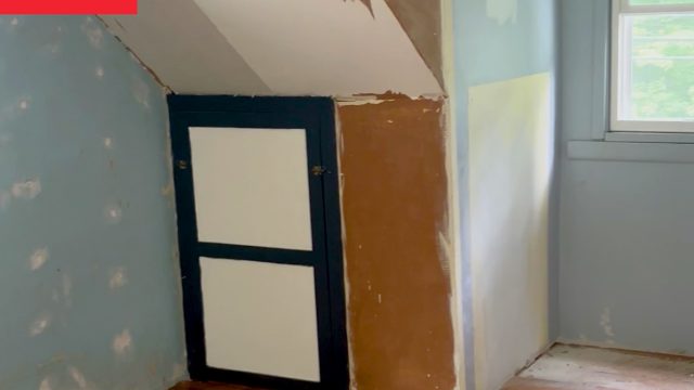 Transforming a Forgotten Space: A Nursery's Revival Story