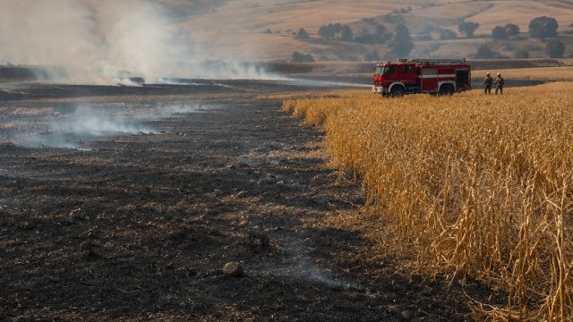 Significant Crop Losses in Svetinikole: 30 Hectares Affected by Fire